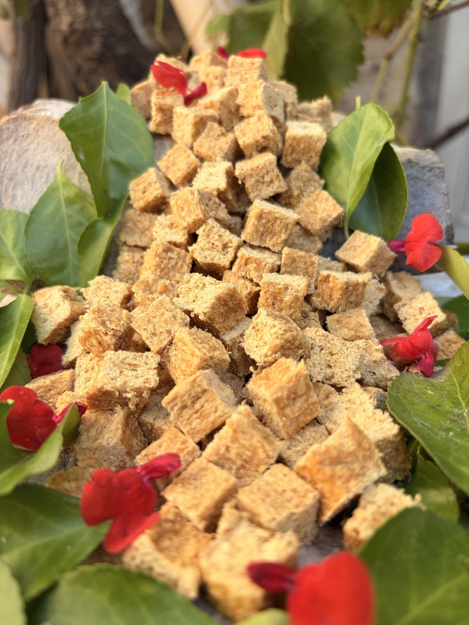 Friandises à la dinde - récompense d'éducation
