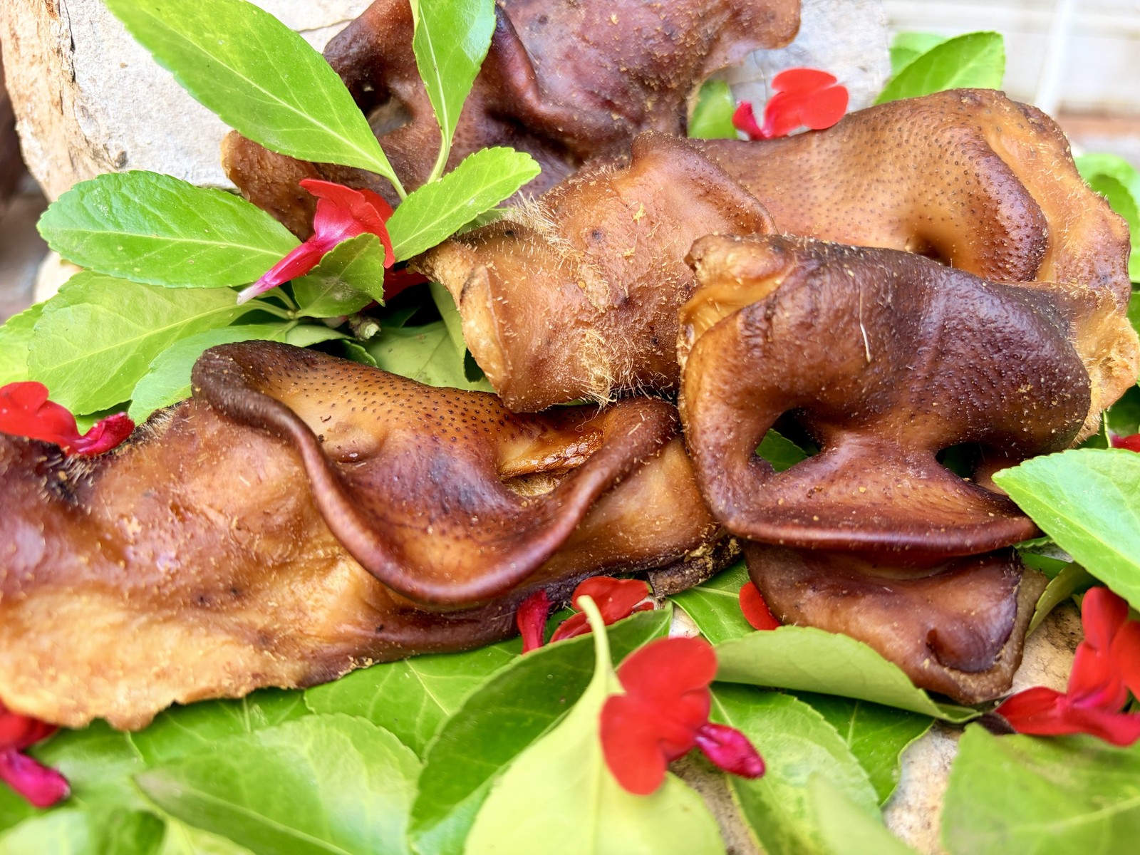 Groin de porc
