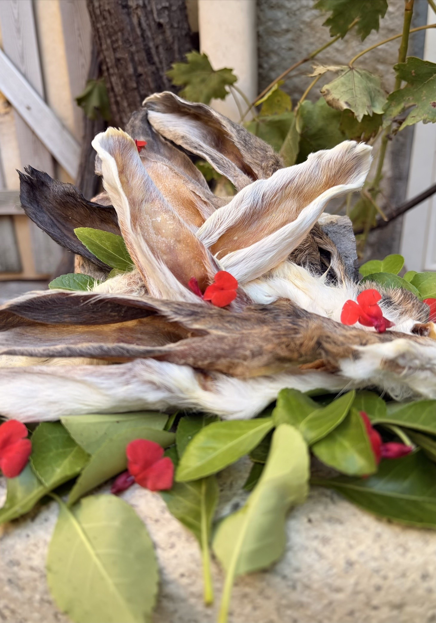 Oreilles de lapin avec fourrure